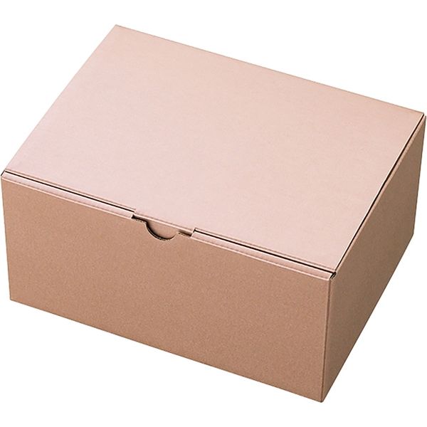 ヘッズ 無地シャンパンピンクギフトボックス-3 50枚(10枚×5) MCP-GB3（直送品）