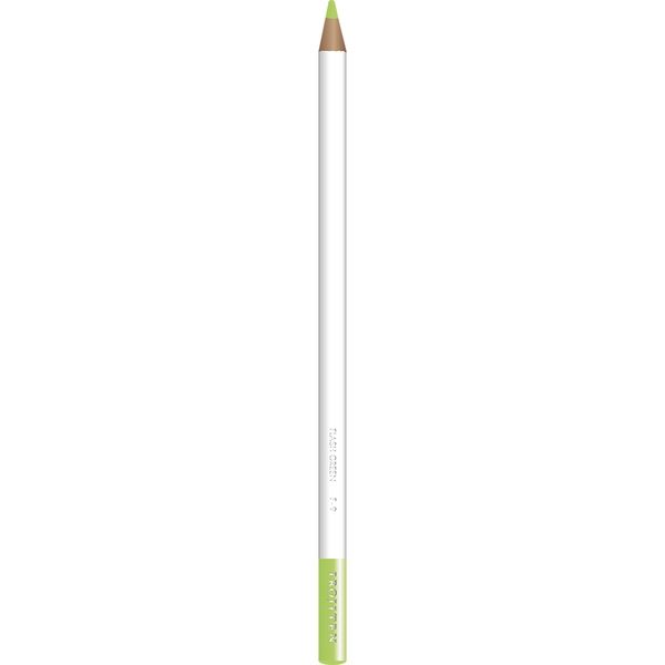 トンボ鉛筆 色鉛筆 色辞典 単色 F09 フラッシュグリーン CI-RF9 6本（直送品）