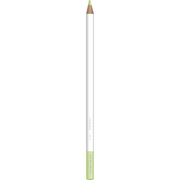 トンボ鉛筆 色鉛筆 色辞典 単色 VP05 アスパラガス CI-RVP5 6本（直送品）