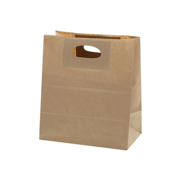【ケース販売】HEIKO 紙袋 トゥーゴーバッグ L 未晒無地 003186021 1ケース(25枚入×20袋 合計500枚)（直送品）