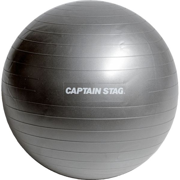 キャプテンスタッグ VitFit フィットネスボール 直径55cm シルバーホワイト UR-0861 1個