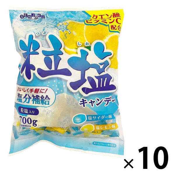 粒塩キャンデー 700g 1セット（1袋×10） 扇雀飴本舗 塩飴 塩分補給