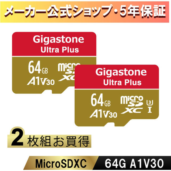 Nintendo Switch確認済マイクロSDカード 64GB 2枚セット GJMXR-64GV3A1100R-2PK　Gigastone（直送品）