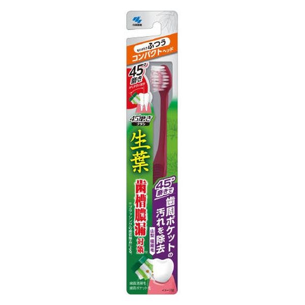 小林製薬 生葉45°磨きブラシ コンパクト ふつう 4987072052525 1本×10点セット（直送品）