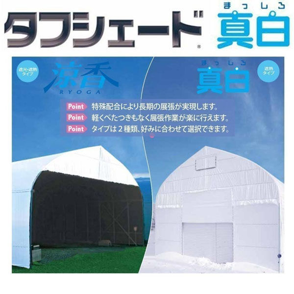 住化積水フィルム タフシェード真白 0.15mmX150cmX15m 2枚入り 真白 0.15X150X15 2枚 1式(2枚入)（直送品）