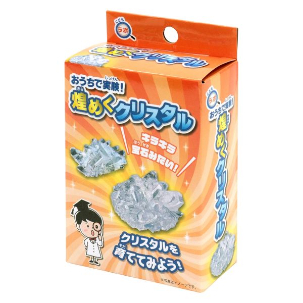 池田工業社 こどもラボ おうちで実験! 煌めくクリスタル 780 1セット（12個）