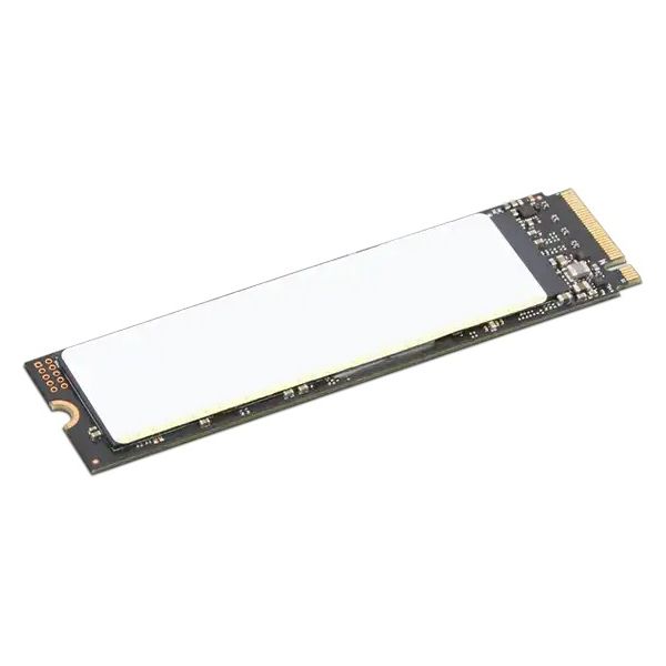レノボ・ジャパン ThinkPad 2TB Performance PCIe Gen4 NVMe OPAL2.0 4XB1N36076 1台（直送品）