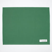 ナガイレーベン 一重四角巾 綿布 穴なし 120cm×120cm グリーン AD-90100（取寄品）
