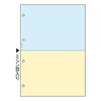 ヒサゴ　マルチプリンタ帳票（FSC）　FSC2011　A4　カラー2面4穴　1セット（100枚入×3冊）