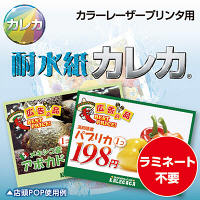 耐水紙カレカ　光沢片面印刷厚手　白　B4　MW5-B4250　1冊（250枚入）　（取寄品）