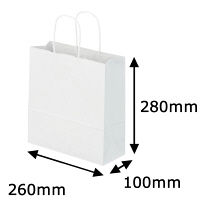 丸紐クラフト紙手提袋薄型エコノミー260×280×100 白 1袋（50枚入）