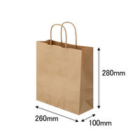 丸紐クラフト紙手提袋薄型エコノミー260×280×100 茶 1箱（300枚：50枚×6袋）