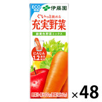 伊藤園 エコパック 充実野菜 緑黄色野菜ミックス（紙パック） 200ml 1セット（48本）【野菜ジュース】