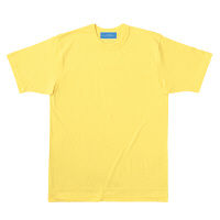 KAZEN Tシャツ 男女兼用 半袖 カナリア M 233-16（直送品）
