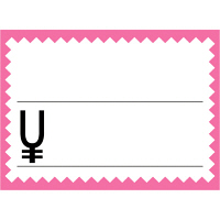 ササガワ タカ印 カード 小 ピンク枠 16-4269 1箱（50枚入×5冊）（取寄品）