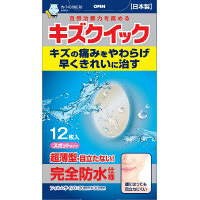 東洋化学　キズクイック　スポットサイズ　１２枚　4960085990107　１２枚