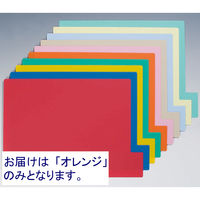 日本ホップス 仕切ガイド　ラテラル　Ｂ オレンジ DG-B5L05 1セット（20枚：10枚×2袋）
