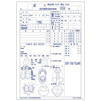 取】診療録（B5）医科用　杉耳国保　CCB161　1セット（1000枚:100枚入×10冊）（直送品）