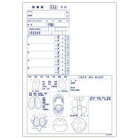 取】診療録（B5）医科用　国保カルテ（耳鼻科）　CCB998　1セット（1000枚:100枚入×10冊）（直送品）