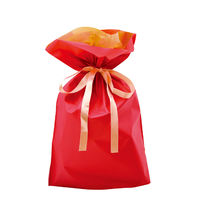 ササガワ 巾着袋 レッド 中 【クリスマス】 50-3459 1包（50枚）袋入（取寄品）