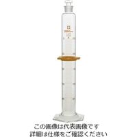 柴田科学 有栓メスシリンダー カスタムA 250mL 1個 1-1960-08（直送品）