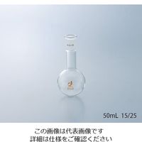 クライミング 共通摺合丸底フラスコ 100mL TS15/25 0070-05-10 1個 1-4327-03（直送品）