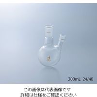 クライミング 共通摺合二つ口フラスコ 500mL 0078-07-10 1個 1-4329-03（直送品）