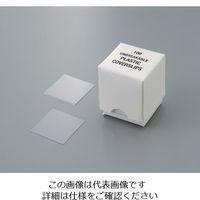 サーモフィッシャーサイエンティフィック プラスチック製カバーグラス 22×22mm 100枚×10箱入 12-547 1-6452-01（直送品）