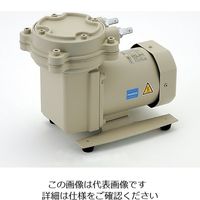 アルバック機工 ドライ真空ポンプ(加圧減圧両用ダイアフラム型) 33.3kPa DAP-30 1台 1-671-21（直送品）