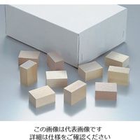 アズワン パラフィン用木製ブロック 100個入 2-173-01 1箱(100個)（直送品）