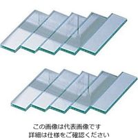 アズワン 薄層クロマトグラフィー用吸着剤塗布用硝子板 2-688-04 1箱(10枚)（直送品）