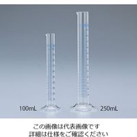 アズワン EMユーロメスシリンダー 250mL 5-5360-05 1個（直送品）