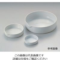 アズワン 磁製平皿 φ105mm 160mL 6-563-04 1個（直送品）