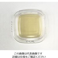 極東製薬工業 細菌検出用培地 DDチェッカー (XーGAL寒天) 04220 1ケース(40枚) 6-8778-21（直送品）