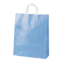 ササガワ 手提げ袋 丸紐 クリスタルブルー ブルー 大 50-5304 1袋（50枚入）（取寄品）