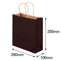 【紙袋】丸紐カラー手提げ紙袋／スーパーバッグ