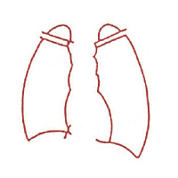 サンビー 人体図ゴム印 胸部13 JING-13 1個（取寄品）