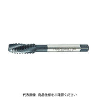 トラスコ中山 TRUSCO ポイントタップ M12X1.75 T-H-PO-M12X1.75 1本 391-2931（直送品）