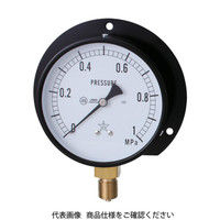右下精器製造 右下 一般圧力計（B枠立型・φ100） 圧力レンジ0.0～0.25MPa G421-211-V-0.25MP 326-0160（直送品）