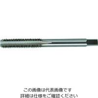 イシハシ精工 IS パック入 ハンド上タップ 1/2NF20 (1本=1PK) P-S-HT-1/2NF20-3 1本 385-0978（直送品）