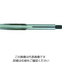 イシハシ精工 IS パック入 ハンド先タップ 7/16NF20 (1本=1PK) P-S-HT-7/16NF20-1 1本 385-1338（直送品）