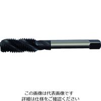 イシハシ精工 IS スパイラルタップ M12X1.75 SPT-M12X1.75 1本 104-2190（直送品）