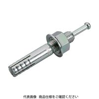 サンコーテクノ サンコー オールアンカーCタイプ スチール製 ねじの呼びM20 全長130mm C-2013 1セット(10本) 132-9022（直送品）