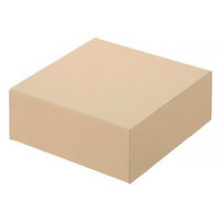クラフトボックス　G-6　外寸：214×203×82　1箱（50枚：10枚入×5袋）