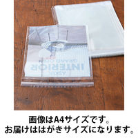 アスクルオリジナル OPP袋（テープ付き） 簡易包装パック はがき用 テープ付き 透明封筒 1セット（1000枚：500枚入×2袋）  オリジナル