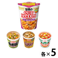 日清食品　カップヌードルバラエティセット　1箱（20食入）