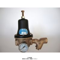 ヨシタケ （YOSHITAKE） 水用減圧弁（ゲージ・ストレーナー付） GD-24GS