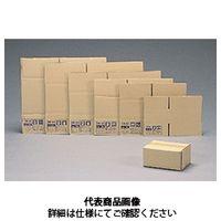 アイリスオーヤマ ダンボールボックス DBーS2 DB-S2 1セット(10個:1個×10枚)（直送品）