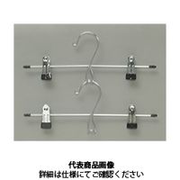 アイリスオーヤマ PVCスカートハンガー2P PVーSK2P 2個 PV-SK2P 1セット(2個)（直送品）