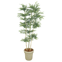 タカショー 人工観葉植物 トネリコ3本立1.8m GD-156 1個（直送品）